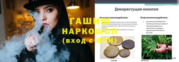 винт Абаза