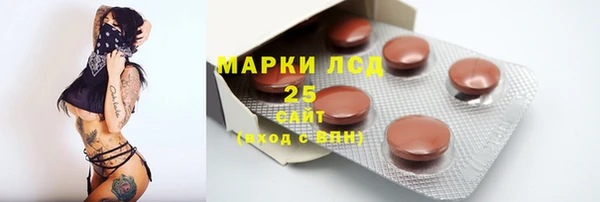 винт Абаза