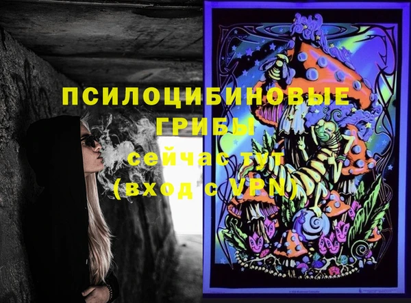 винт Абаза