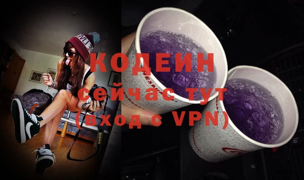 Альфа ПВП Лагань