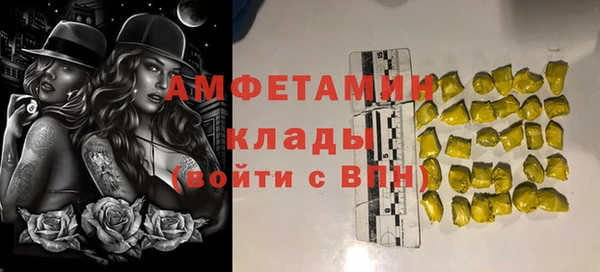 Альфа ПВП Лагань