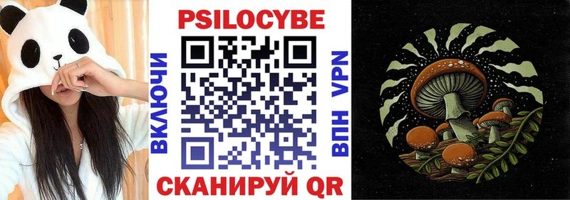 Псилоцибиновые грибы Cubensis  купить закладку  Североморск 